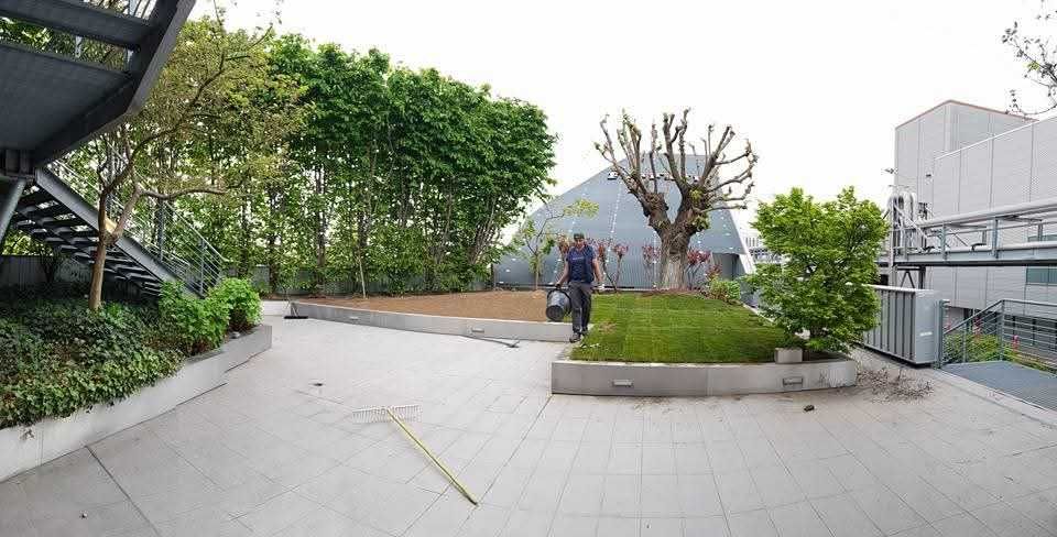 Amenajări și întreținerea spatiilor verzii.  Șanțuri fundați..etc