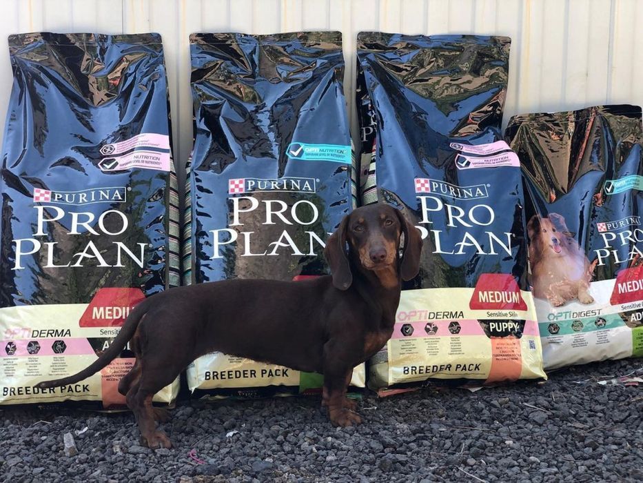 Сухой корм для собак мелких пород ПроПлан (ProPlan)