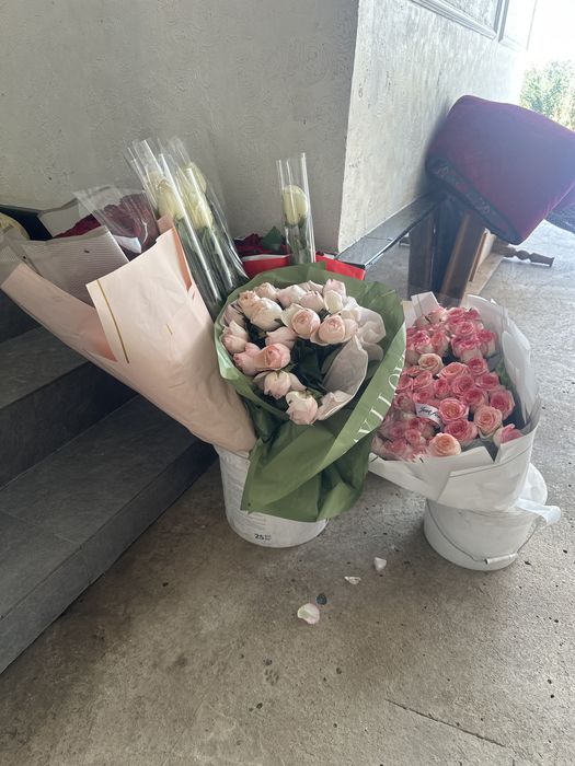 Арзан  Голандский гүлдер