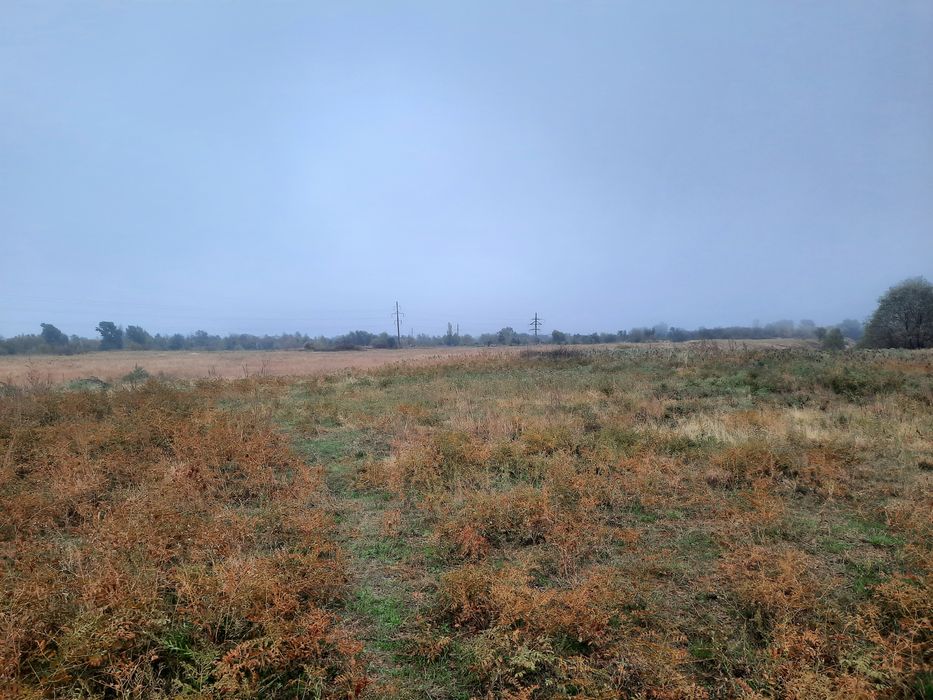 земельный участок