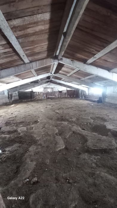 Продам крестьянское хозяйство