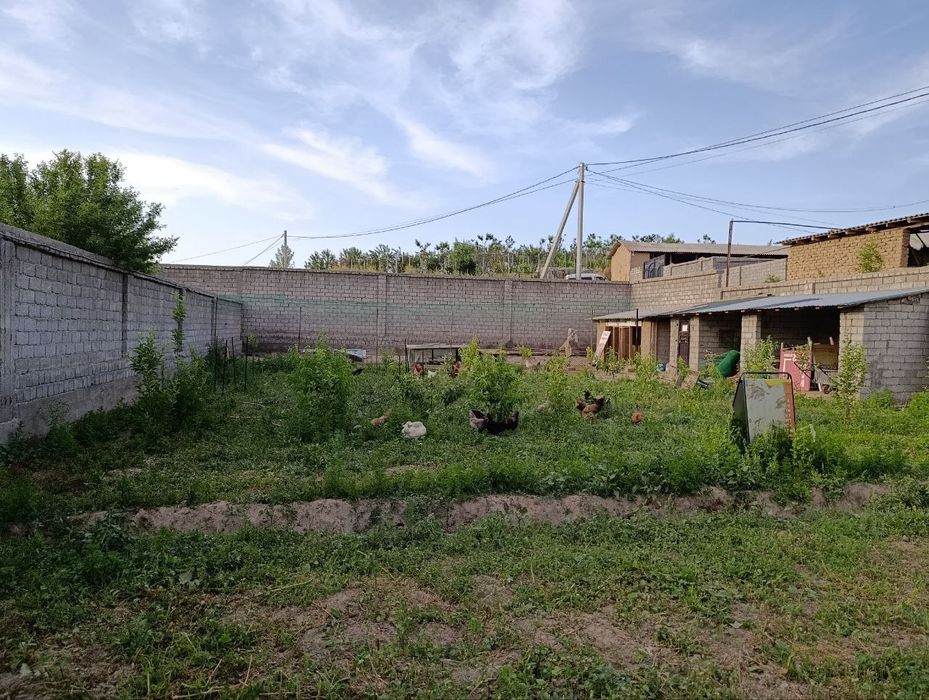 Продам дом с участком 10 соток в экологически чистом районе