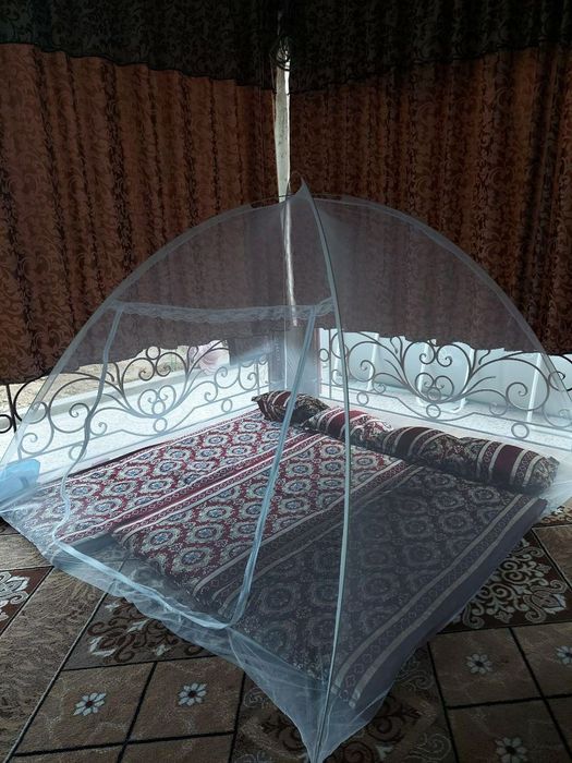 Пашахона новый качества супер