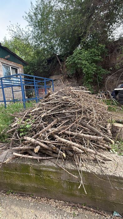 Дрова сухие много