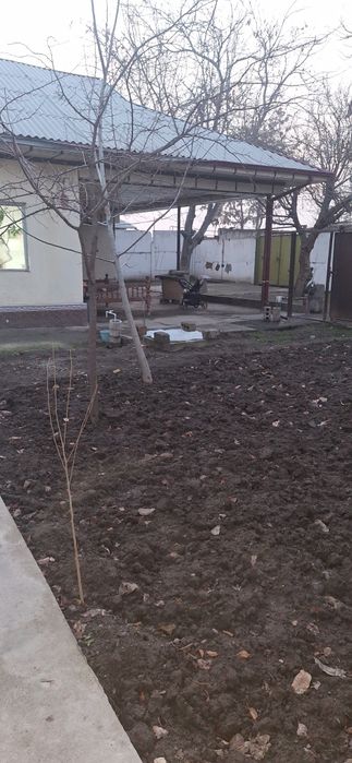 Bardanko'l roxat postidan 400 metr kirganda hovli sotiladi