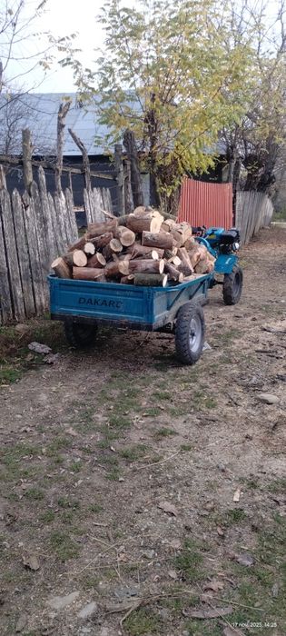 Vând motocultor dkd