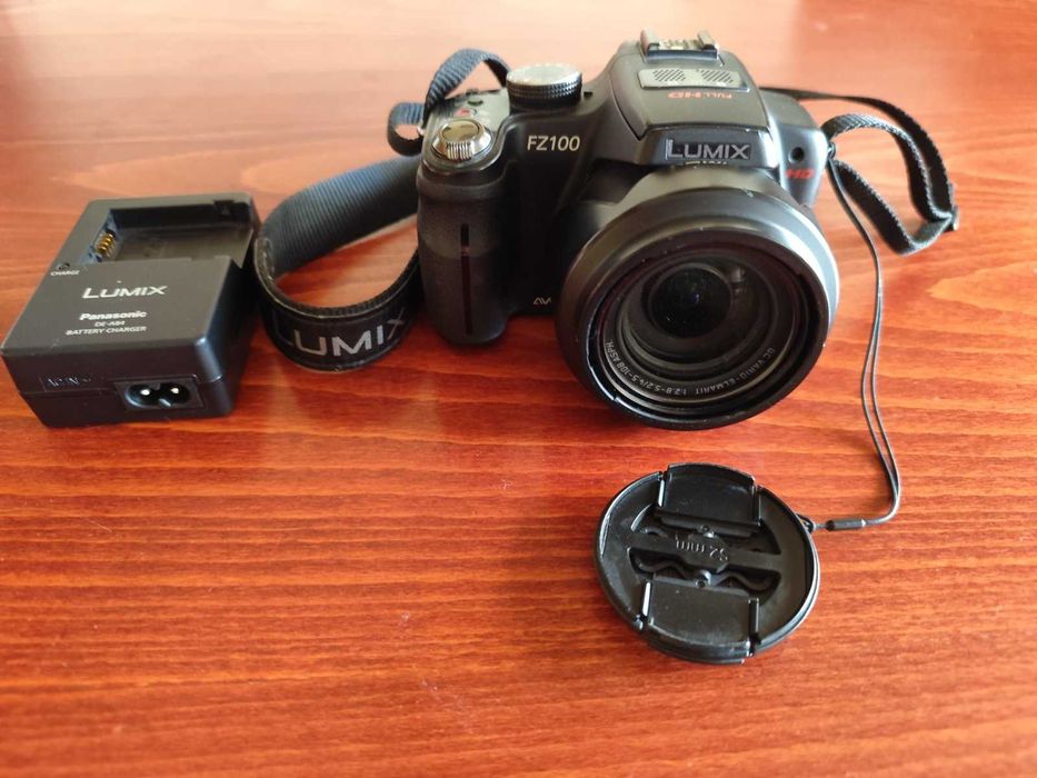 Panasonic Lumix DMC - FZ100
