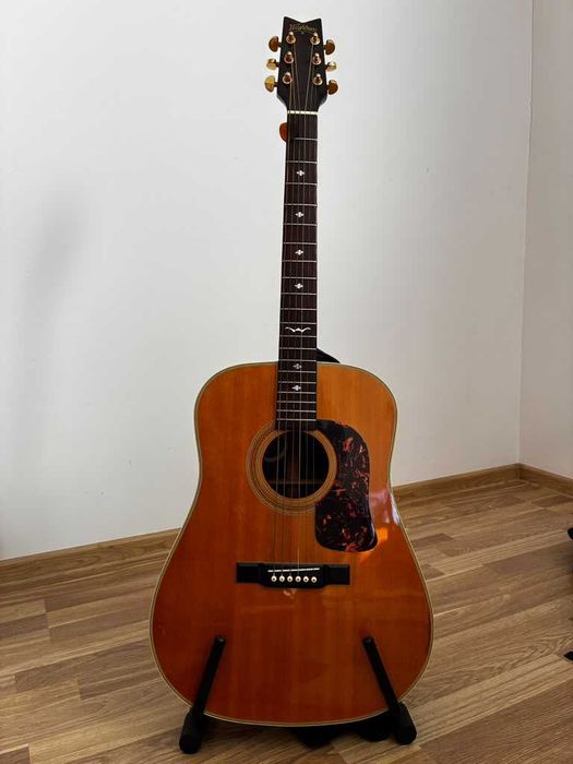 Chitara acustica Washburn