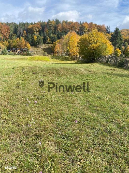 Teren intravilan 4.100 mp de vânzare | Voroneț | Zonă deosebită