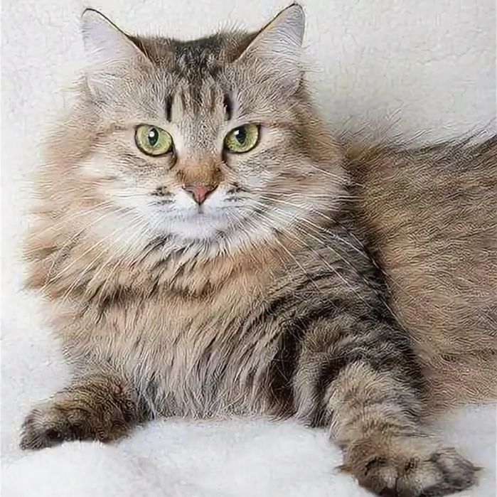 Мышеловка стерилизованная молодая