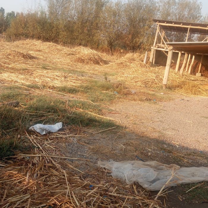 Uchastka ,uy sotiladi.Yashashga 3xona uy,oshxona,molxona ,