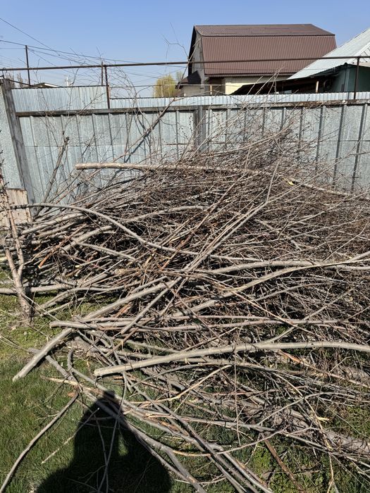 Отын, агаш, дрова