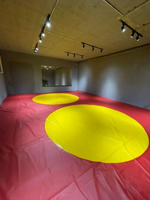 Ковер борцовский (8*8)