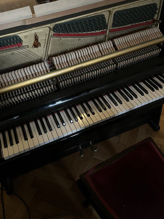 Pianina Doina, functionala