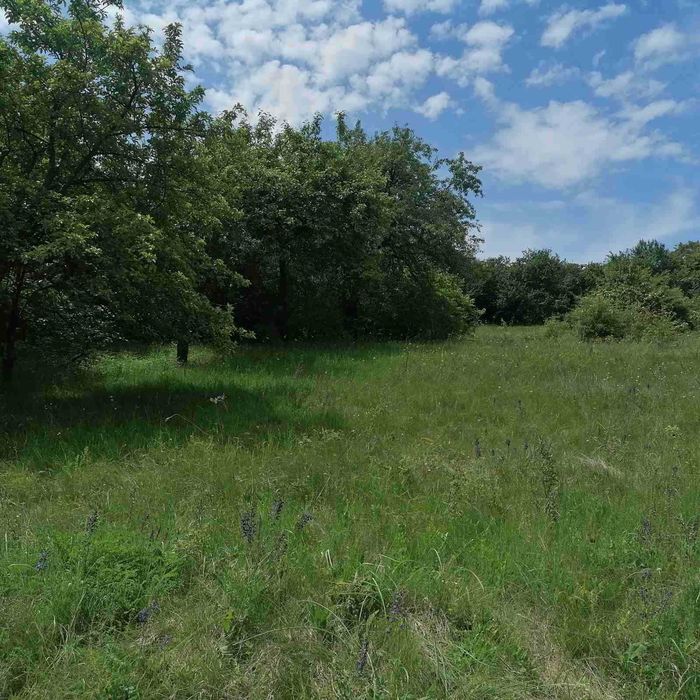 Продава се Парцел в Брезник - 1786 кв.м за 26 €/кв.м - Снимка #2