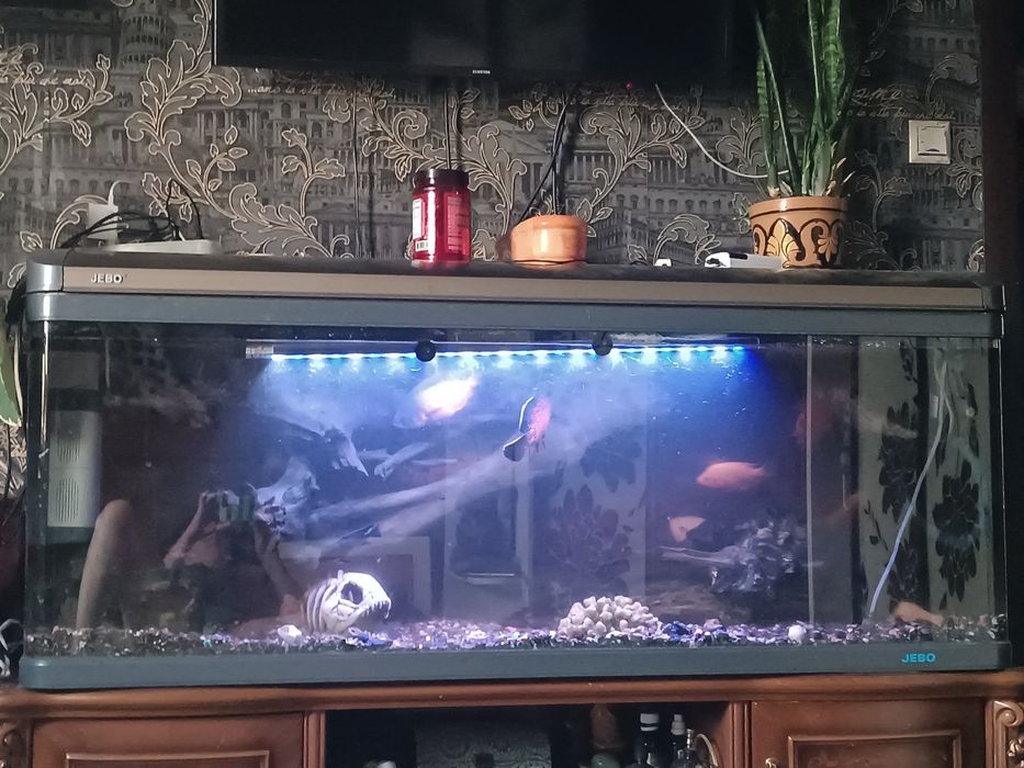 Аквариум  Jebo 300 литров