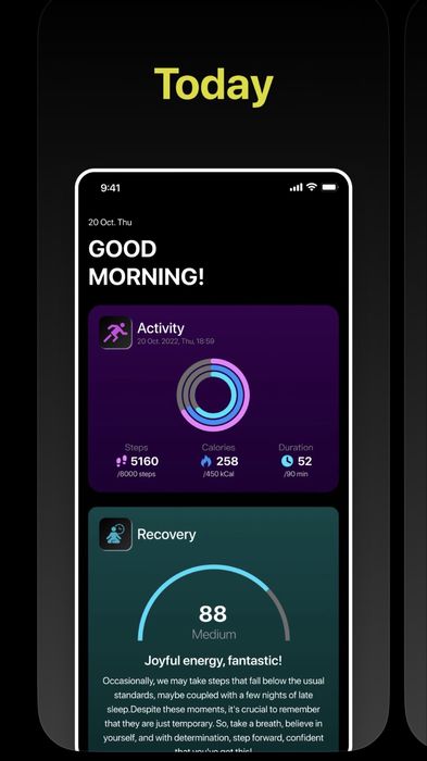 Смарт гривна Nilox ONAL-без екран,с две каишки (нова)