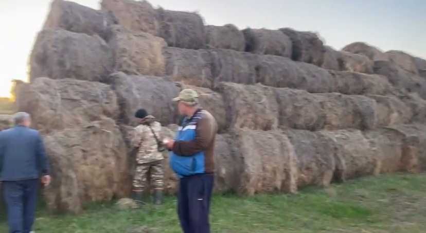 Продам КХ - Пашня, Пастбища, Сенокос, Откорм.