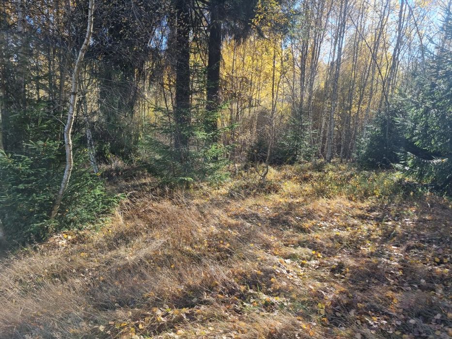 De vânzare teren  in Râșca