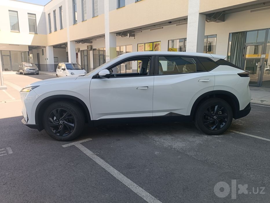 Dongfeng sky ev01