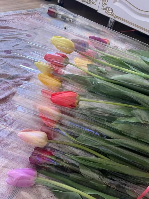 Тюльпаны, цветы, розы