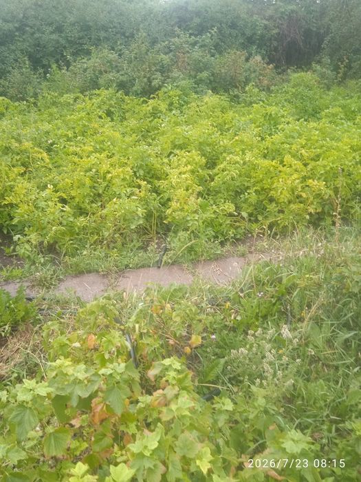 Продам дачу " Уралочка"