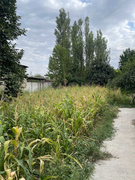 Fargona viloyati, Fargona tumani, Yangi ariq 8 a  8 sotix yer sotiladi