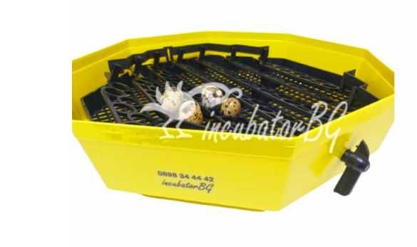 Инкубатори Cleo 5 DTH с люлка за пъдъдъчи яйца( 74 гнезда) Гаранция 2г