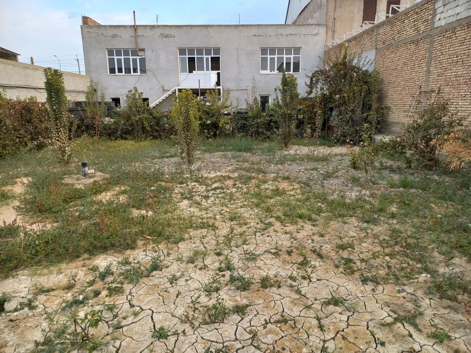 Savdoga qulay Uchastka