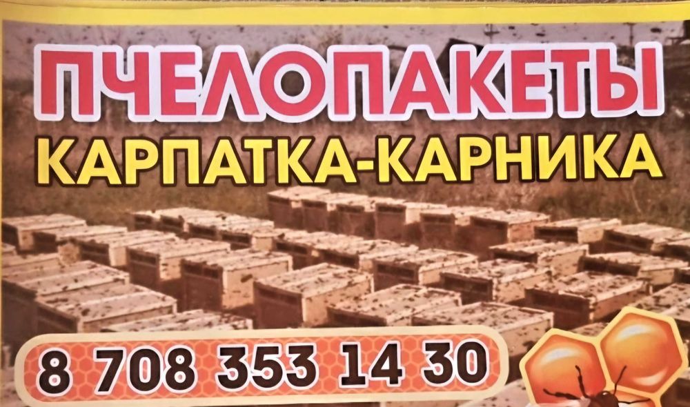Пчелы пчелопакеты