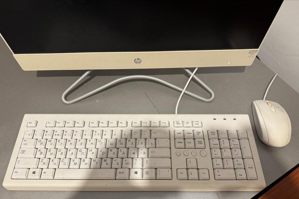 Компьютерды қойға айырбастаймын