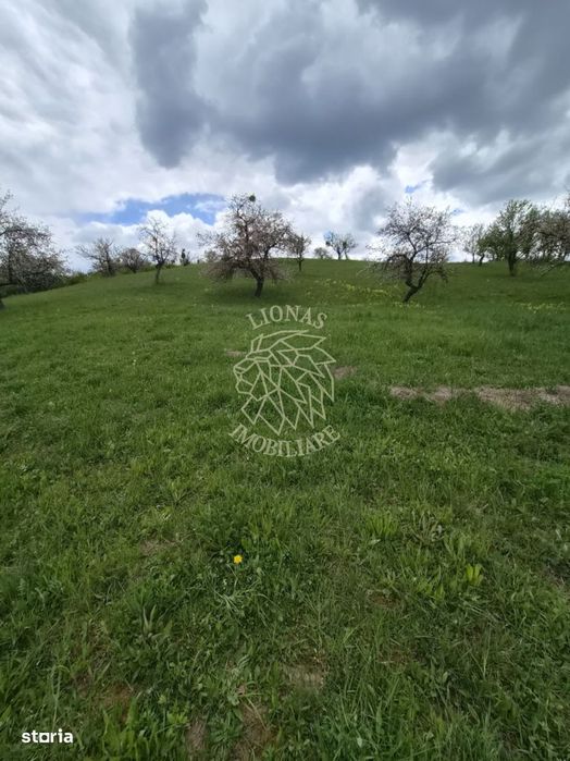 Teren 2,4 Ha cu utilități-Oportunitate Investitie-Herina