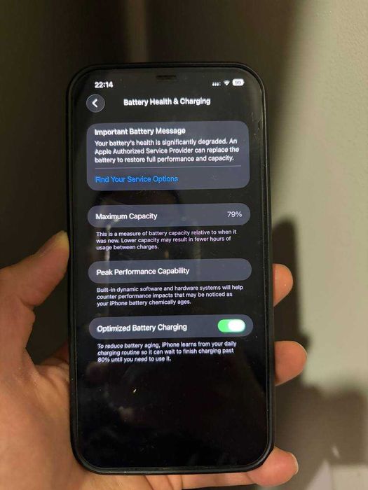 iPhone 12 Pro Max 256