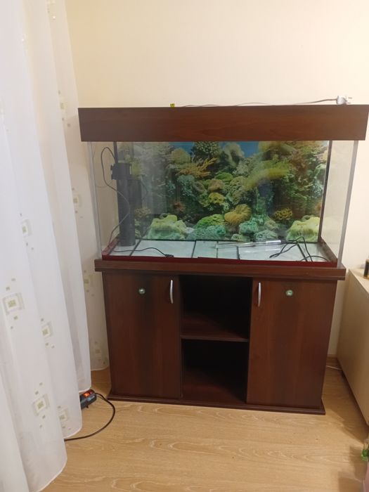 Продам Аквариум с тумбой