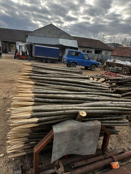 Vând parii fasole si rosii