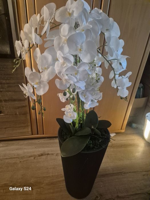 Orhidee silicon  dimensiune 125cm