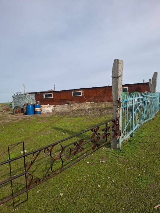 Действующее К/Х 1200гектар