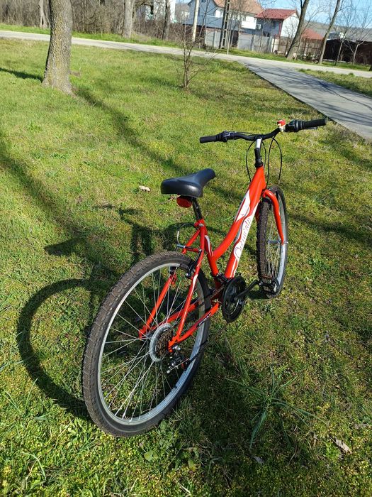 Bicicleta pentru plimbare