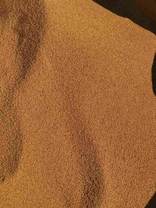 Семе люцерна 2025