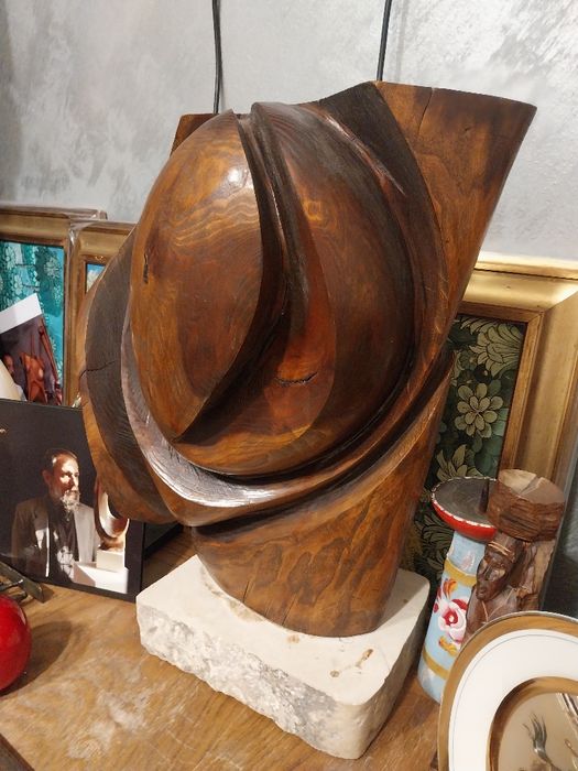 Operă sculptată - Emilian Nuțu