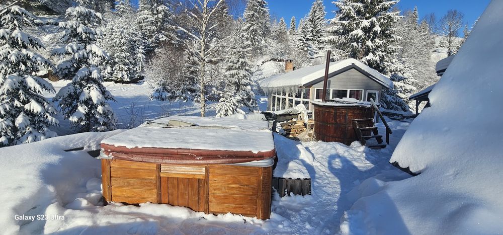 Cazare Arieseni Cabana tip A OCUPAT DE REVELION