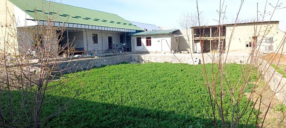 Jaloliyr tumani, 5 xona, kadastirli uy sotiladi, asvalt bor