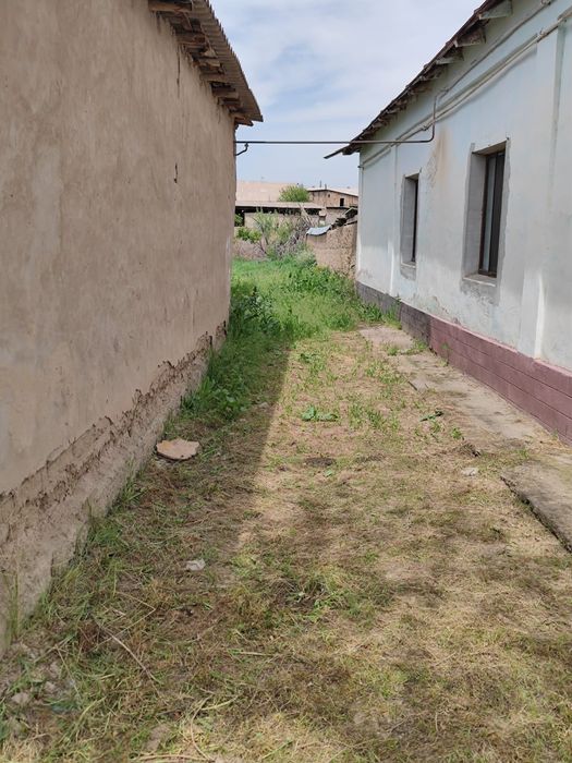 Уй сатылады сарагашта