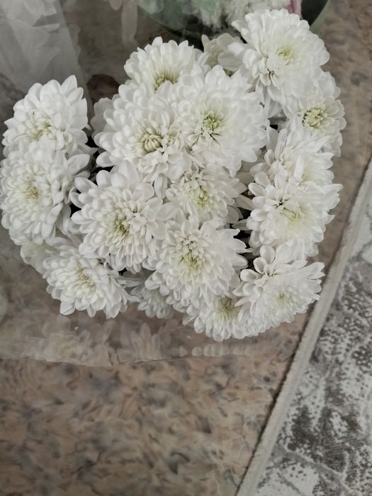 Хризантема букеты