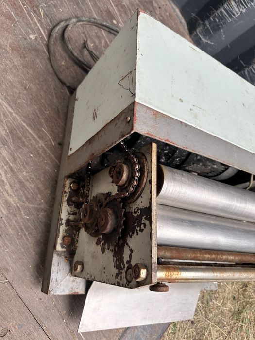 Тестораскоточная