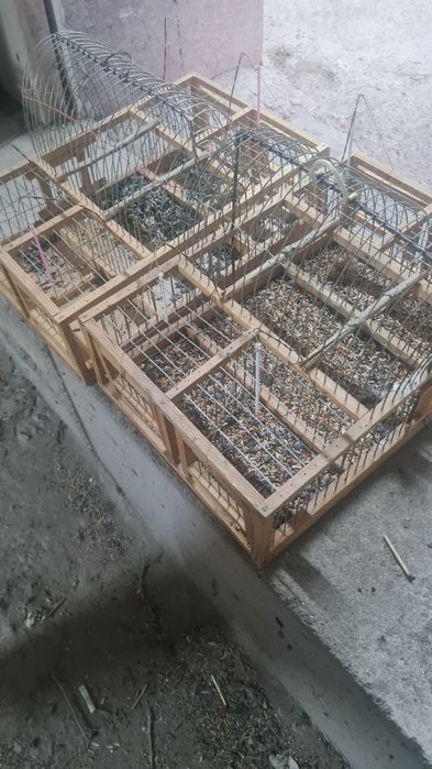 Клетка ловушка для птиц щеглов и других птиц