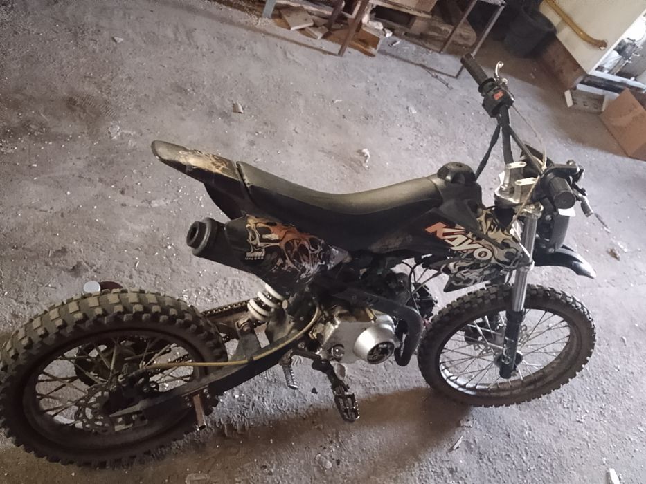 Продам питбаик 72 губика