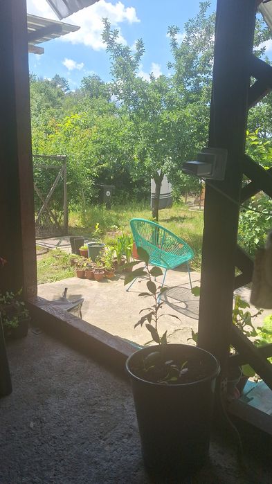 Casa renovata cu livada