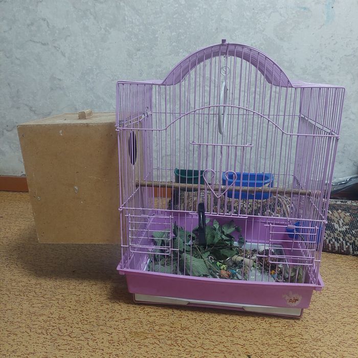 Клетка для попугая