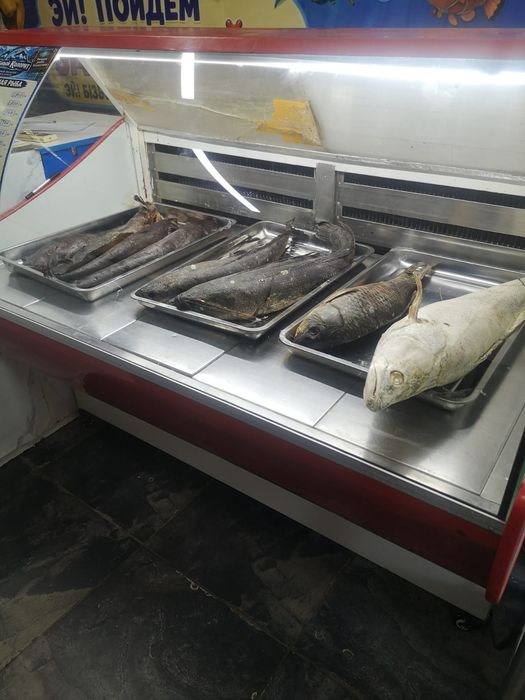 Сдается в аренду рыбный магазин